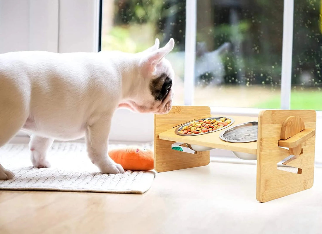 Elevate Your Pet's Dining Experience with our Adjustable Slanted Raised Bowl