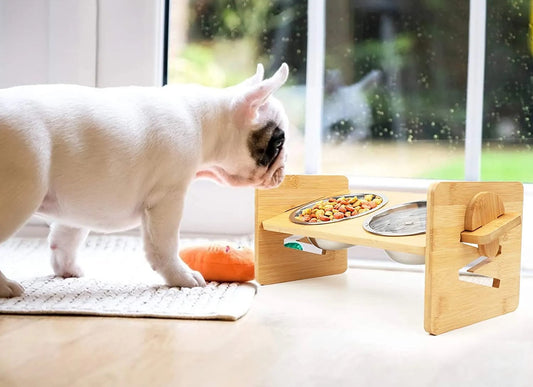 Elevate Your Pet's Dining Experience with our Adjustable Slanted Raised Bowl