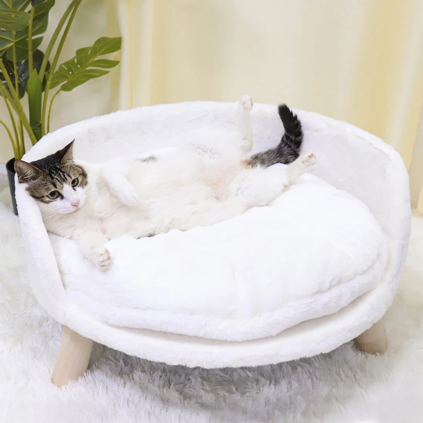 Luxury Pet Bed