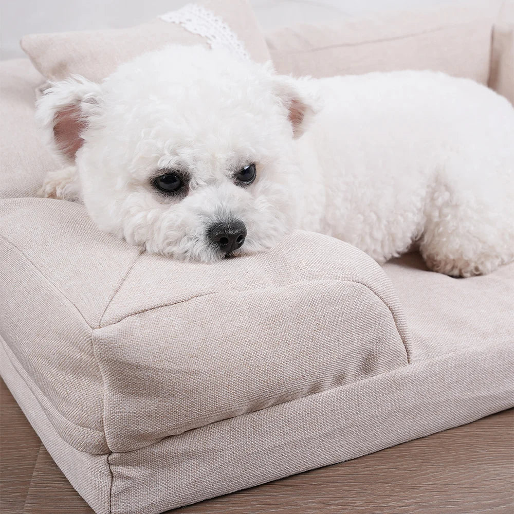 Puppy Sofa Bed