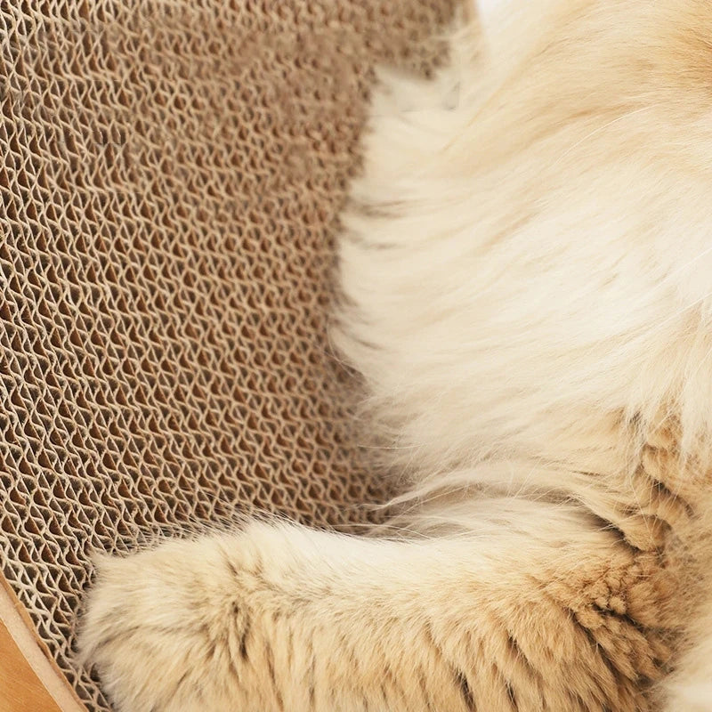 Cat Scratcher Bed