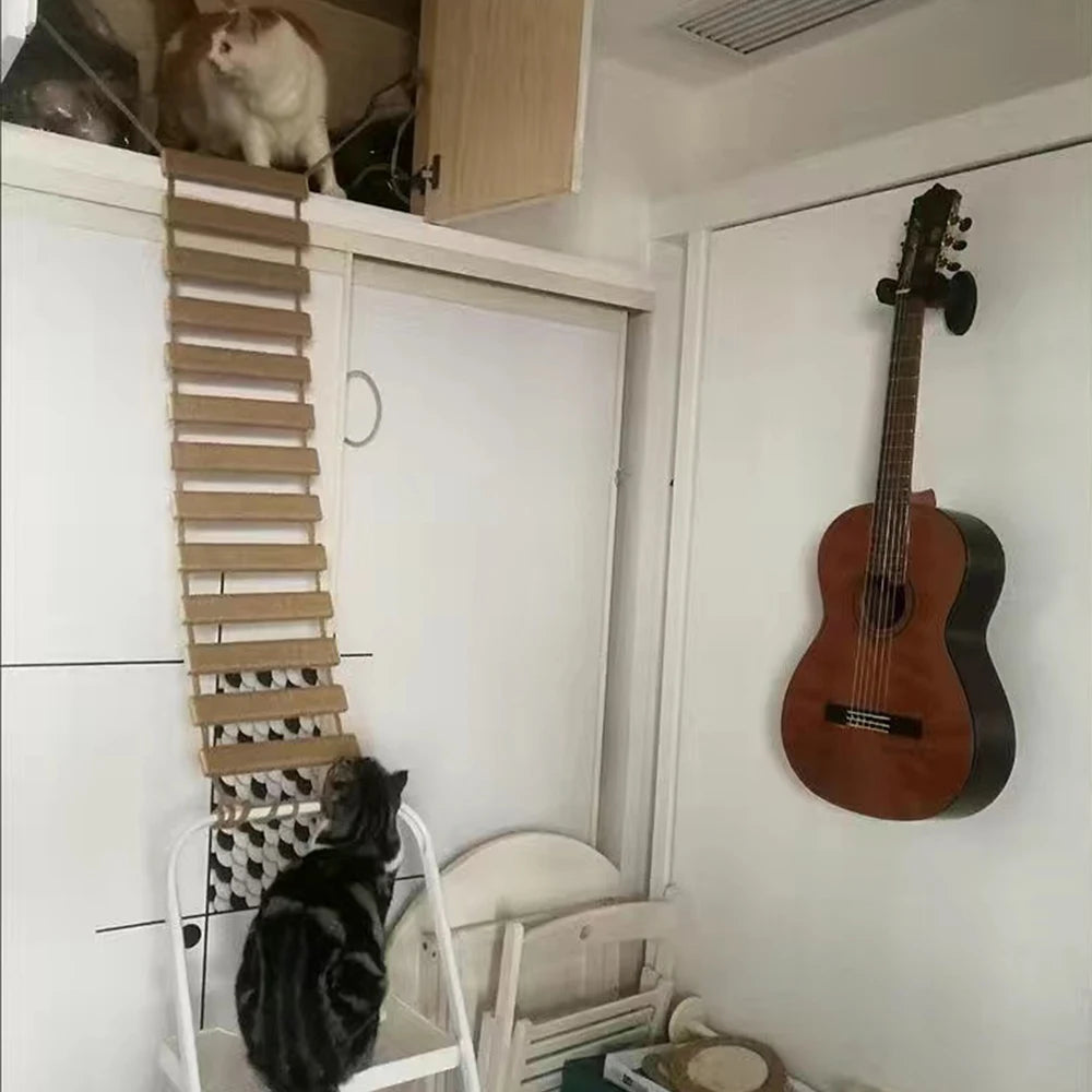 Cat Ladder Bridge