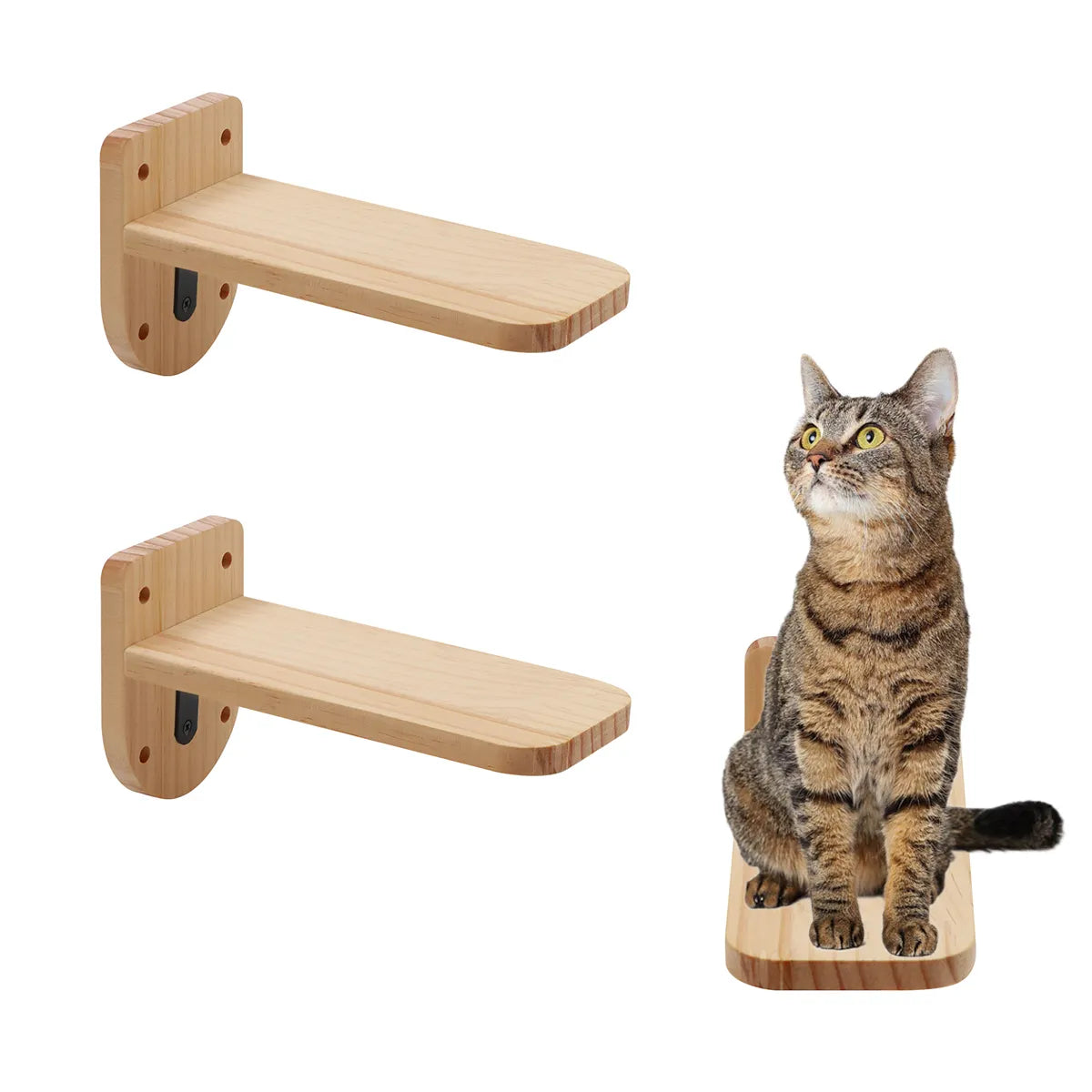 Cat Wall Hammock With 2 Steps