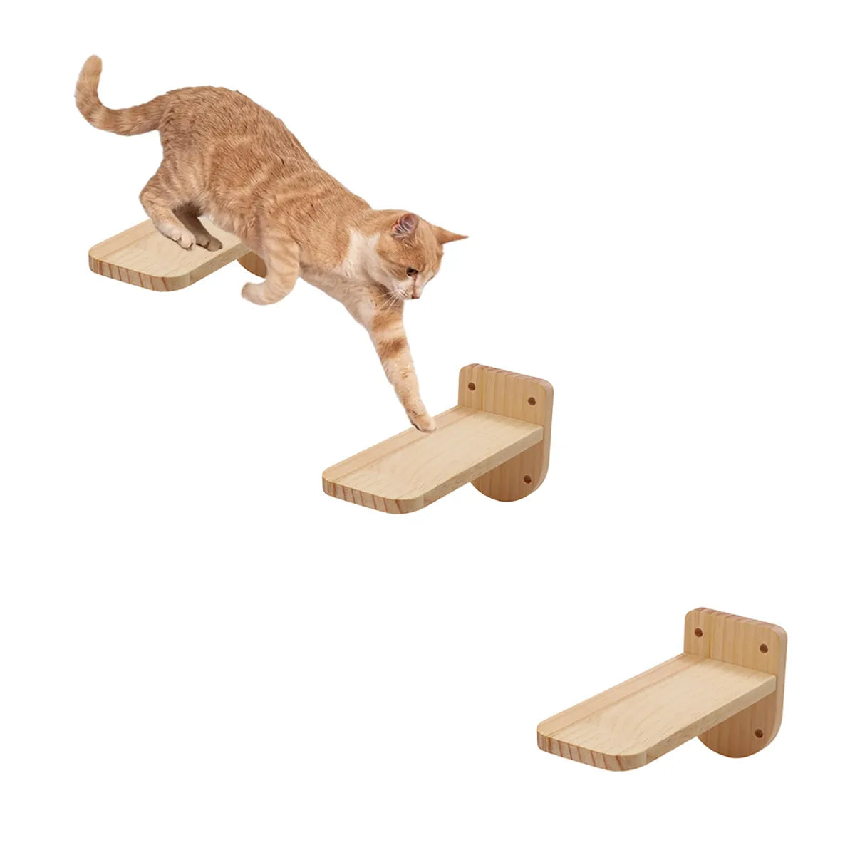 Wall Mounted Cat Bowls with 3 Steps