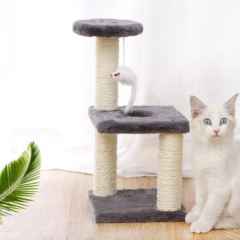 Kitten Tree