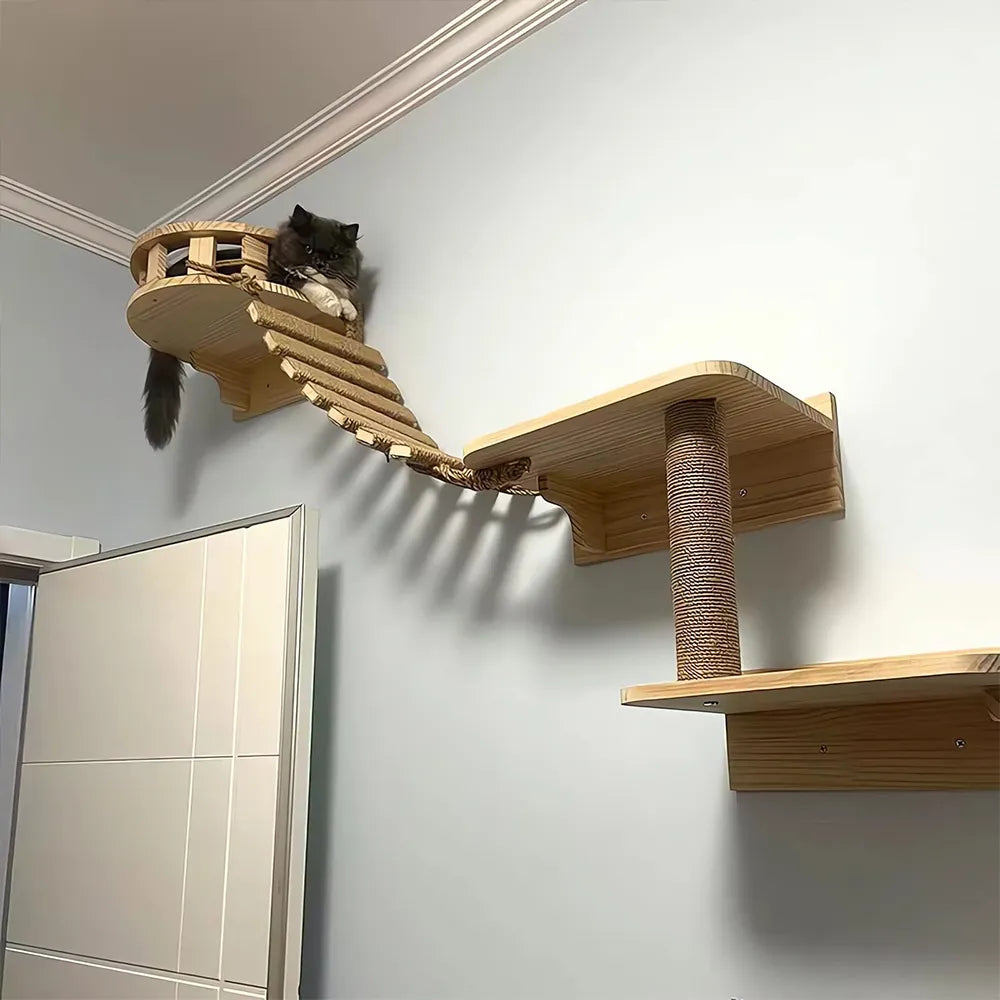 Cat Ladder Bridge