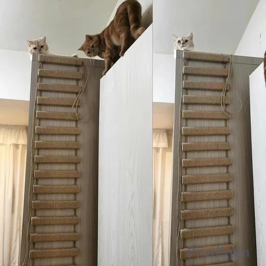 Cat Ladder Bridge