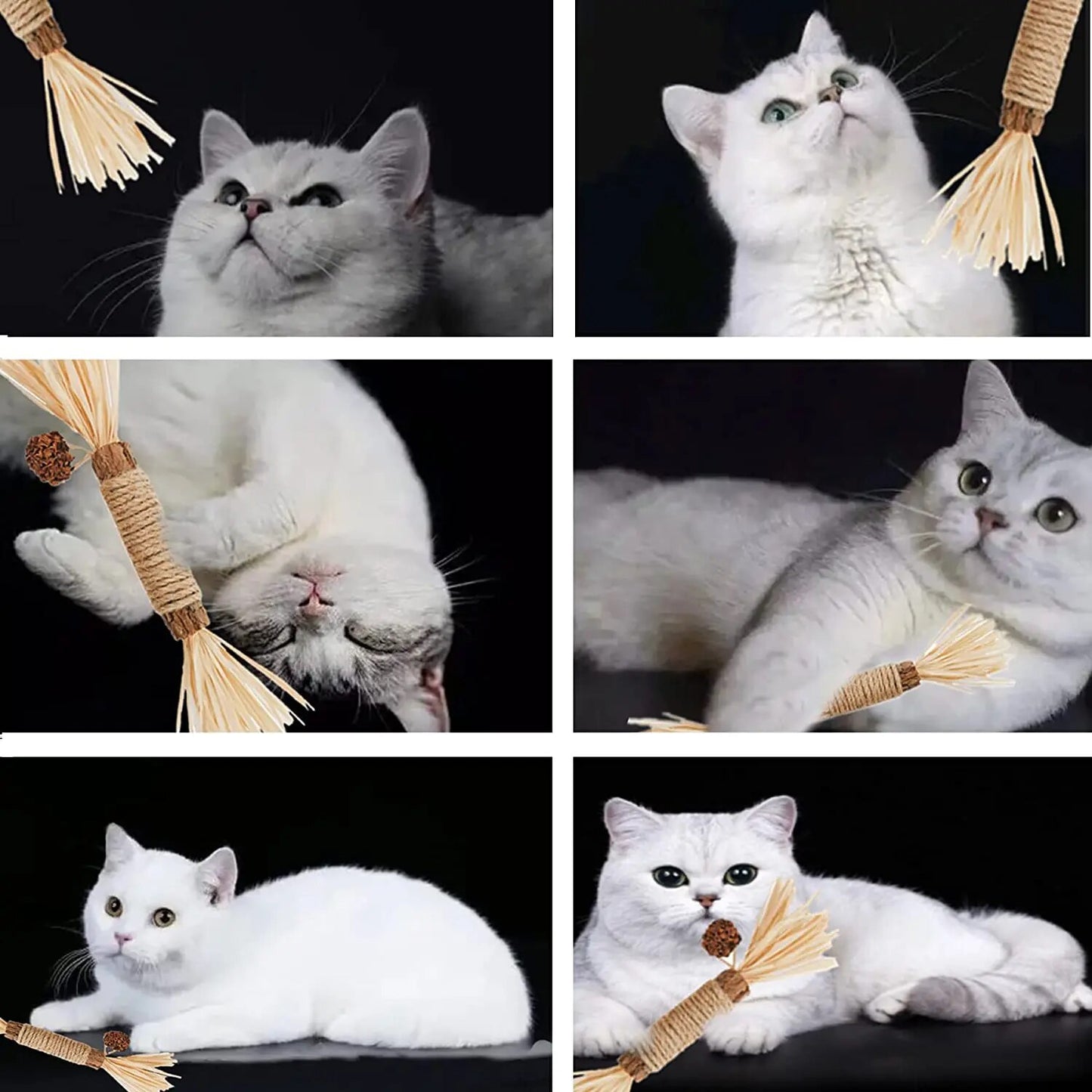 Cat Chew Sticks