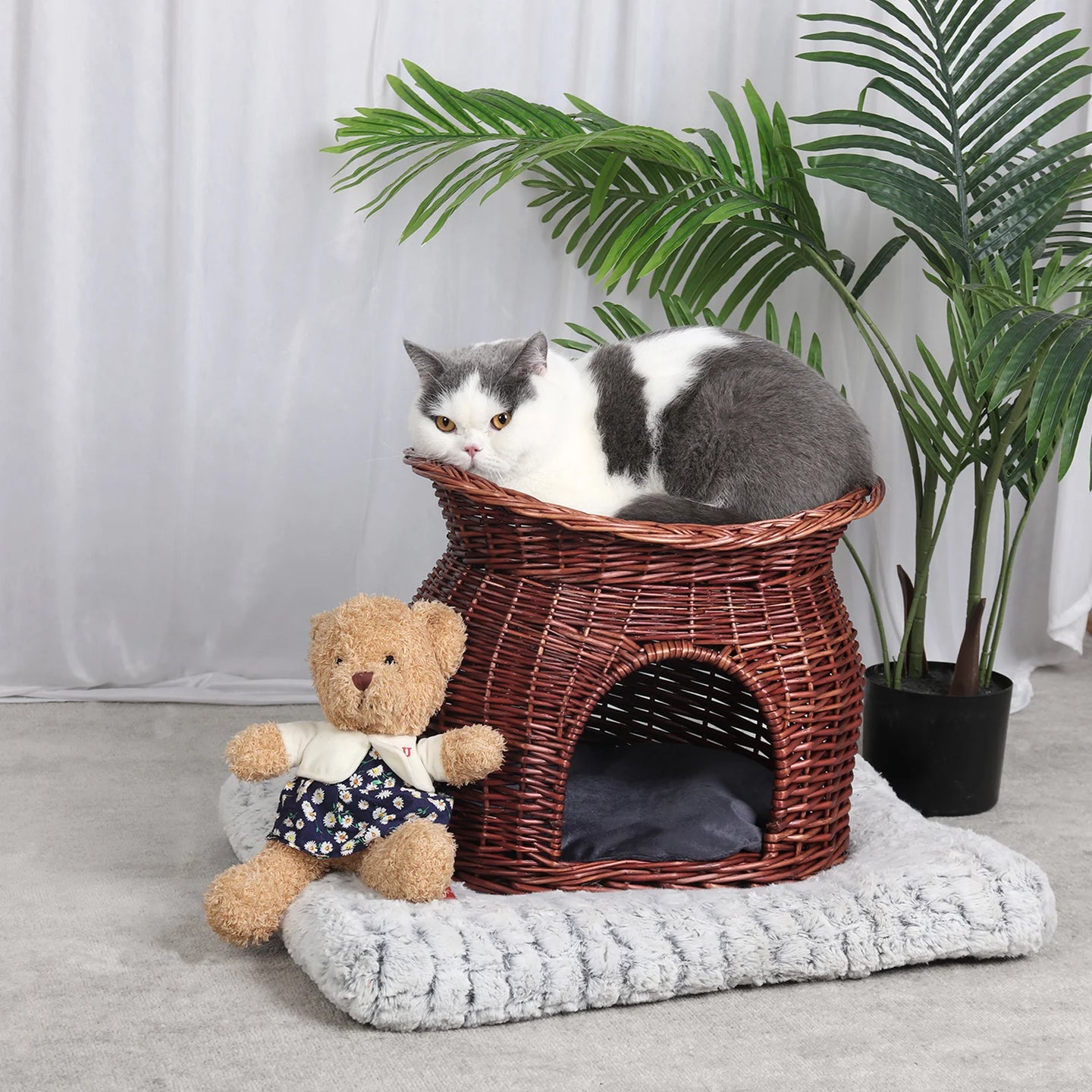 Wicker Cat House