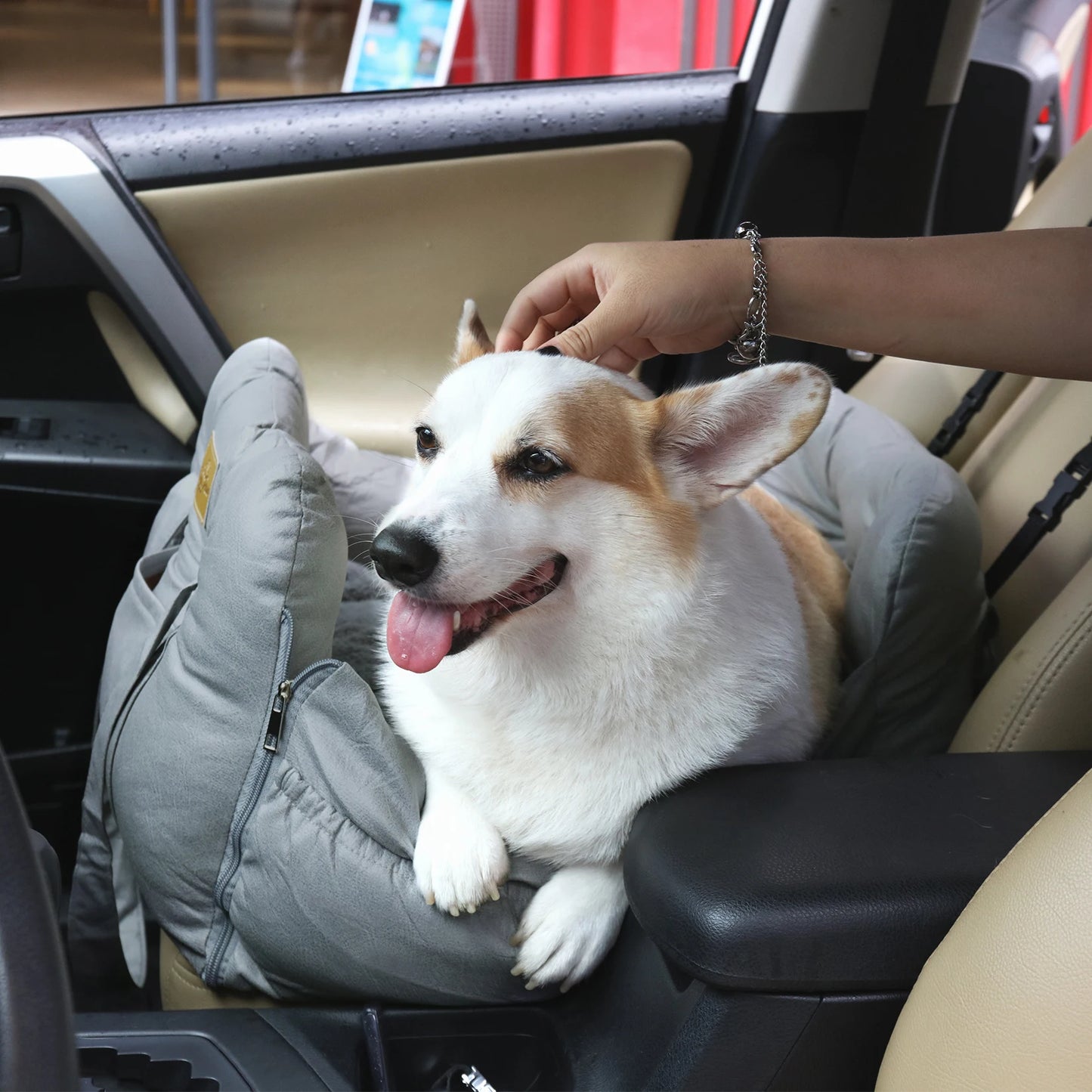 Dog Car Seat