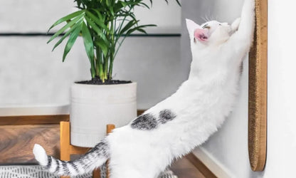 Wall Mounted Cat Scratcher